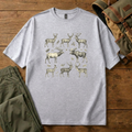 Deer Herd