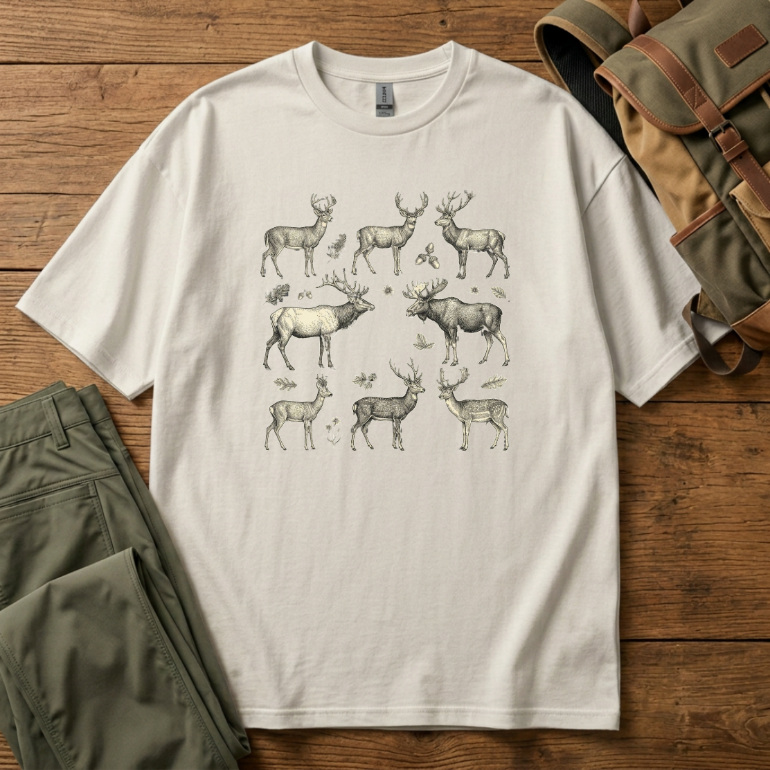 Deer Herd
